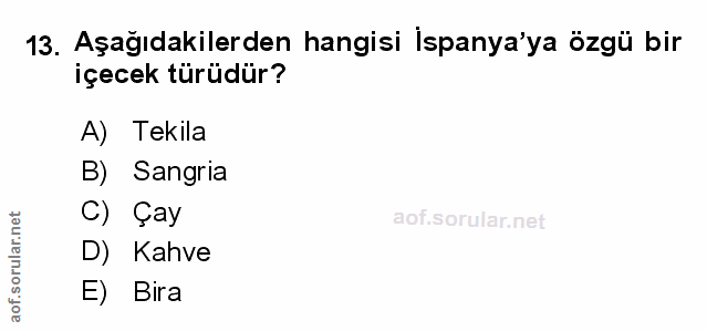 Soru 13