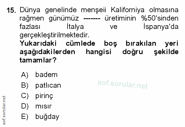 Soru 15
