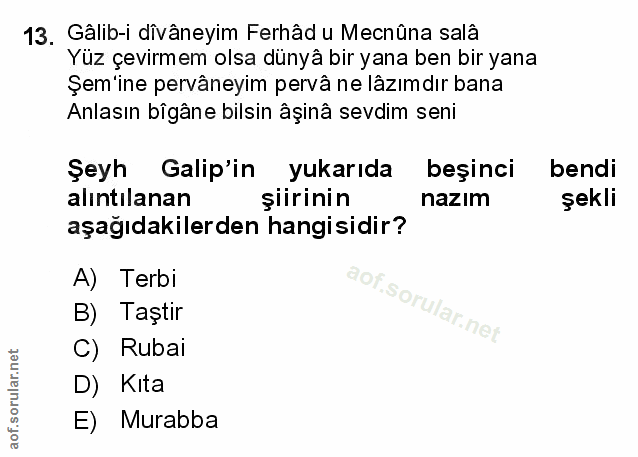 Soru 13