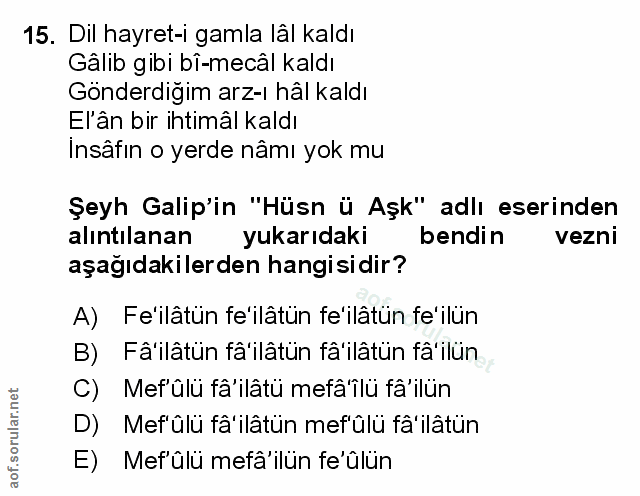 Soru 15