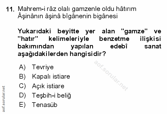 Soru 11