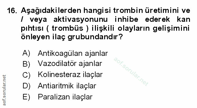Soru 16