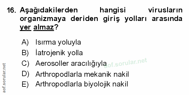 Soru 16