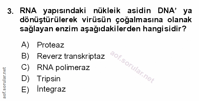 Soru 3