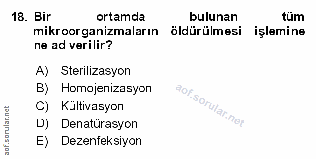 Soru 18
