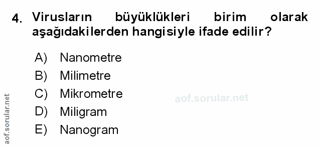Soru 4