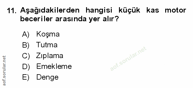 Soru 11