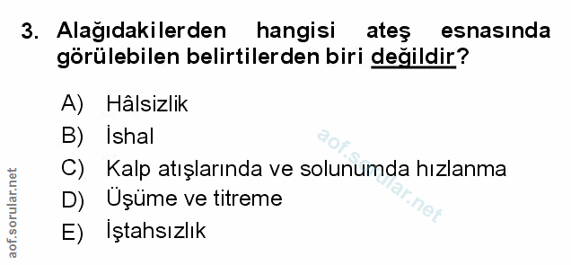 Soru 3