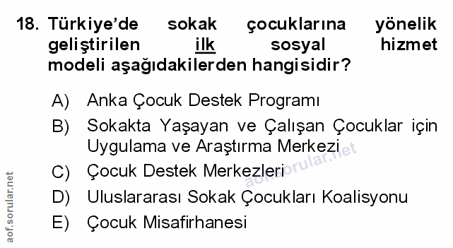 Soru 18