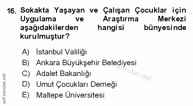 Soru 16