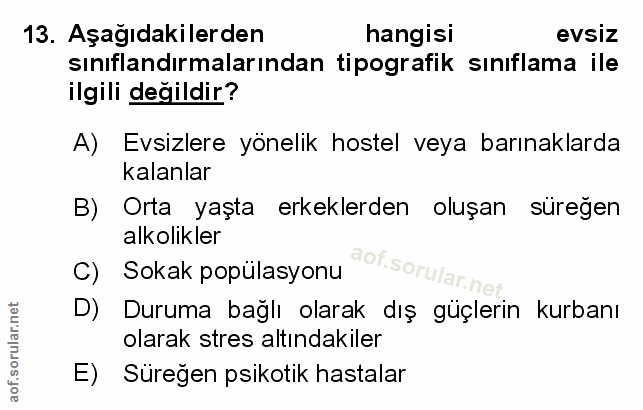 Soru 13