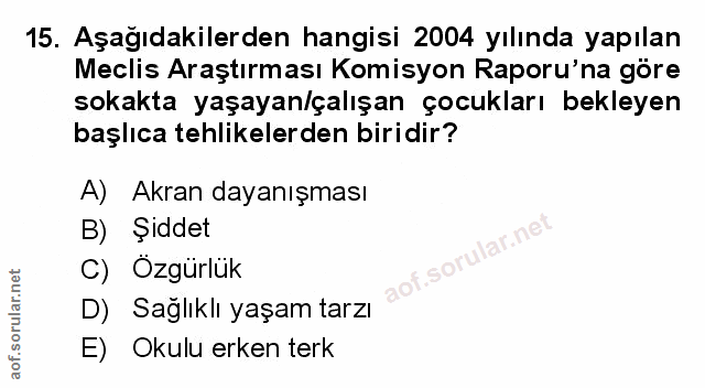 Soru 15