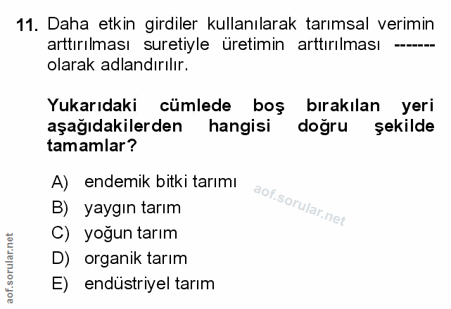 Soru 11
