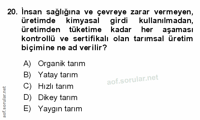 Soru 20