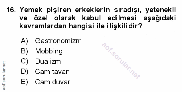 Soru 16