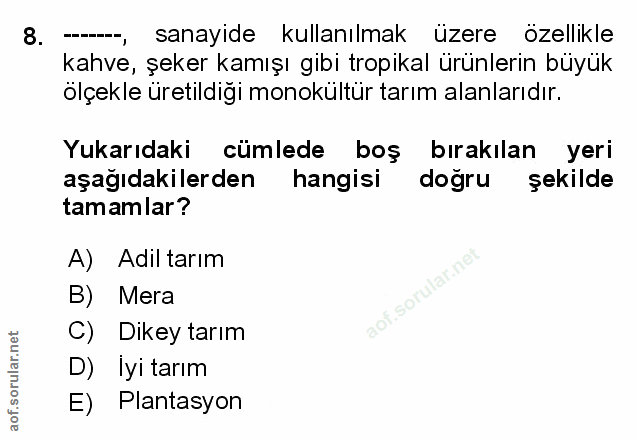 Soru 8