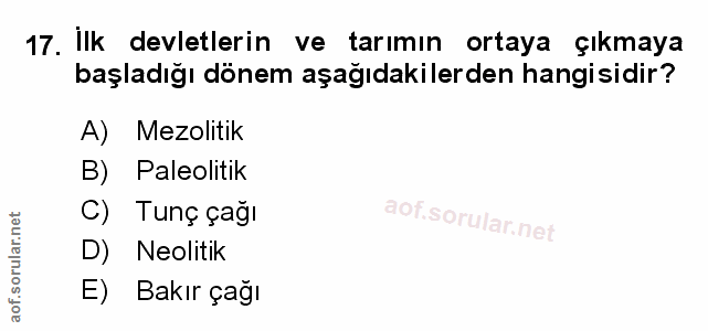 Soru 17
