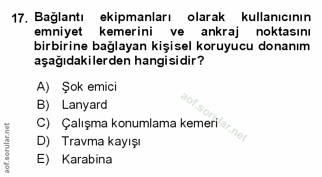 Soru 17