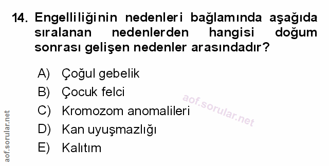 Soru 14