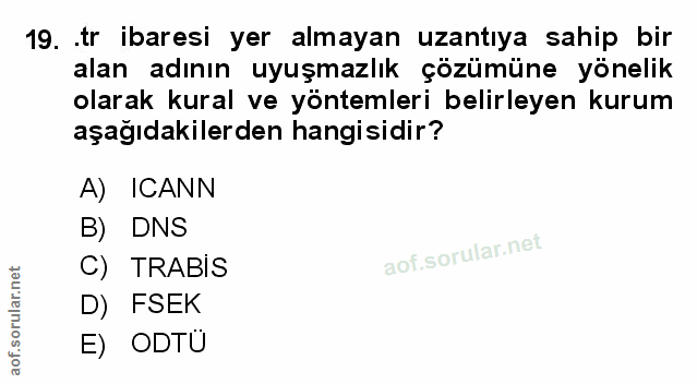 Soru 19