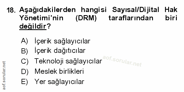 Soru 18