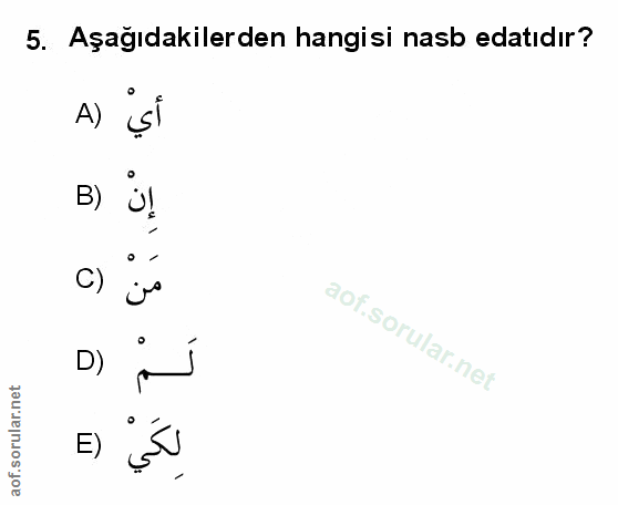 Soru 5