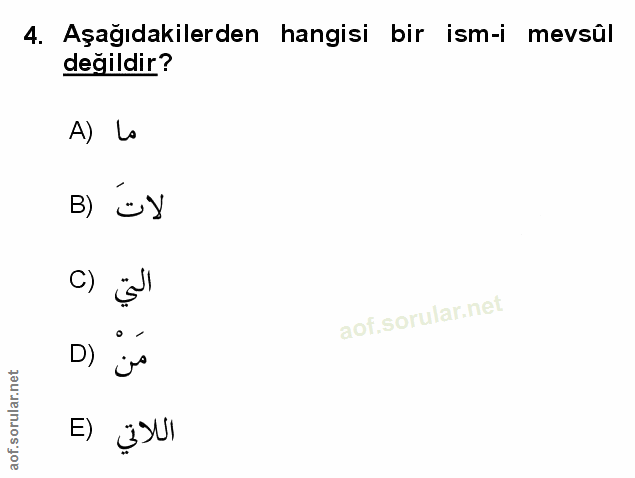 Soru 4