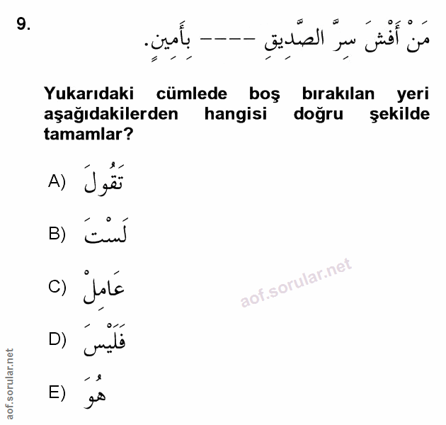 Soru 9