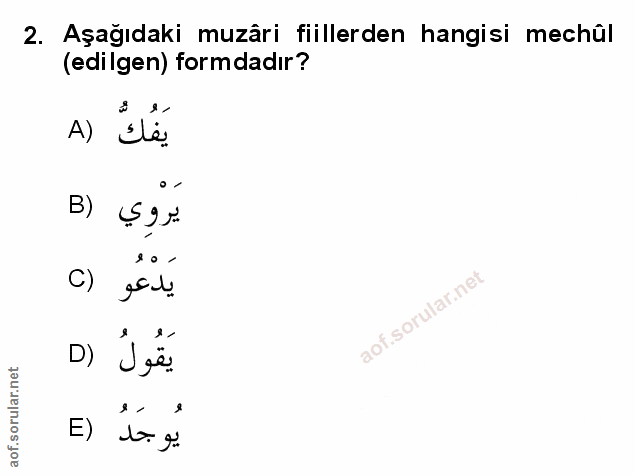 Soru 2
