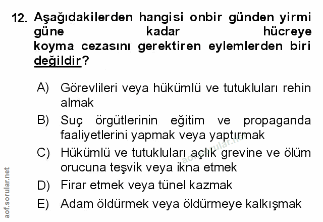 Soru 12