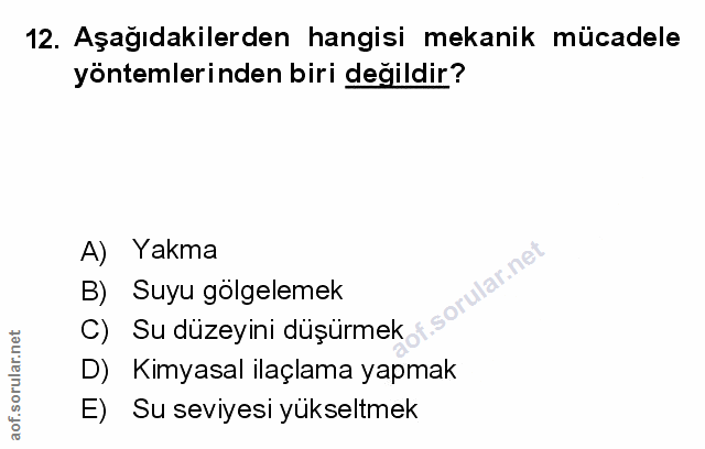 Soru 12