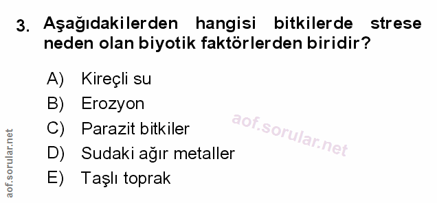 Soru 3