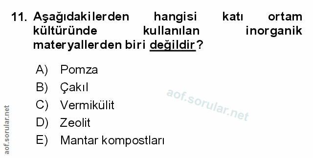 Soru 11