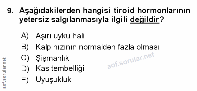 Soru 9