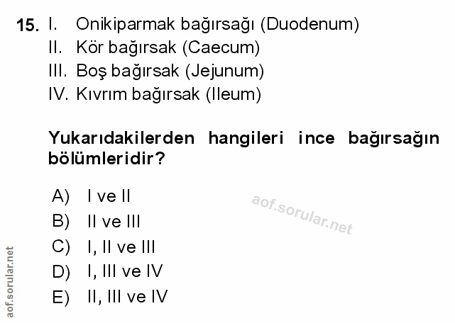 Soru 15
