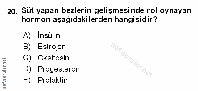 Soru 20
