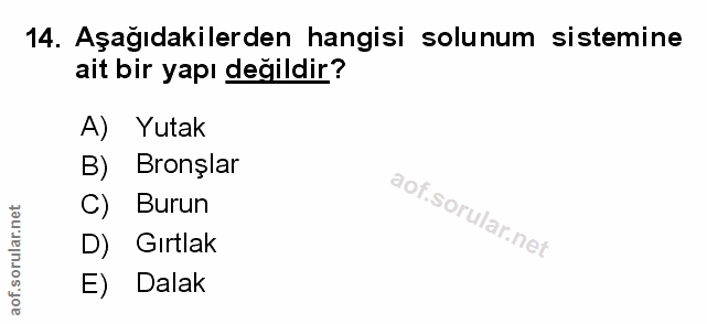 Soru 14