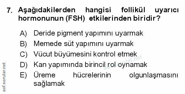 Soru 7