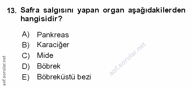 Soru 13