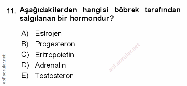 Soru 11