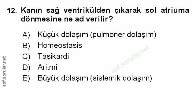 Soru 12