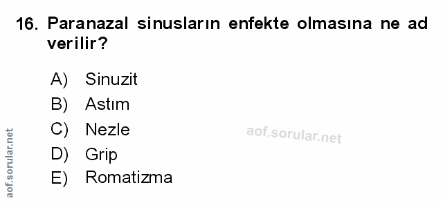 Soru 16