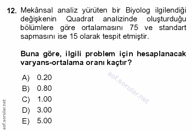 Soru 12