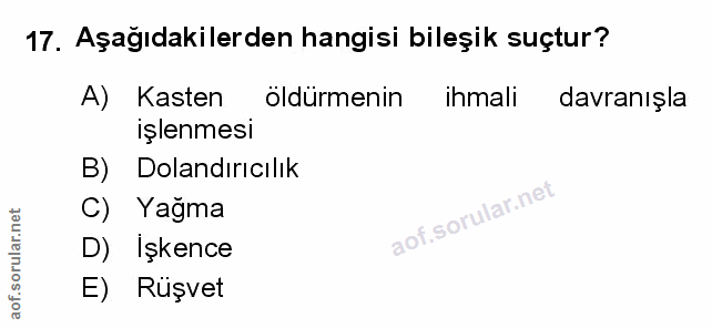 Soru 17