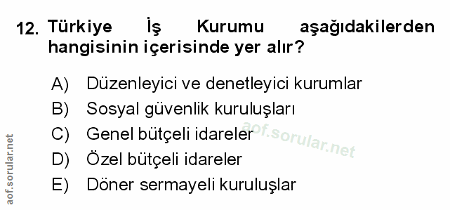 Soru 12