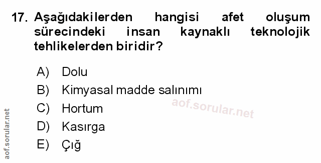 Soru 17