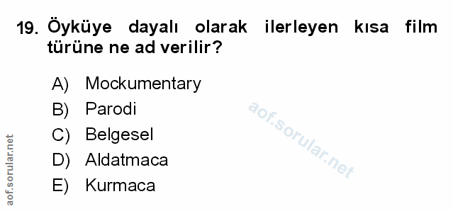 Soru 19