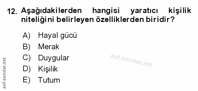 Soru 12