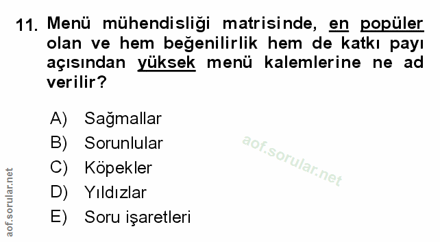 Soru 11