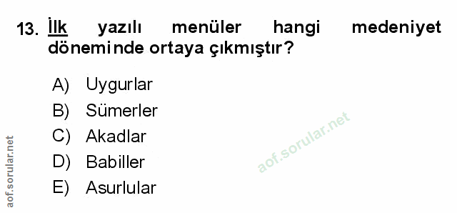 Soru 13